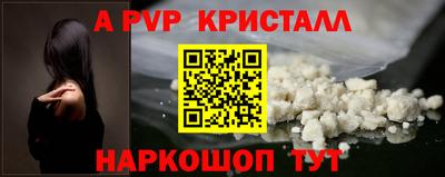амф Новодвинск