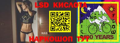 дмт Новозыбков