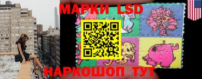 амф Новодвинск