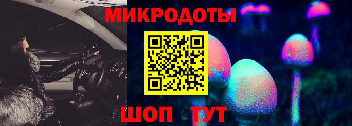 Галлюциногенные грибы Cubensis Северск